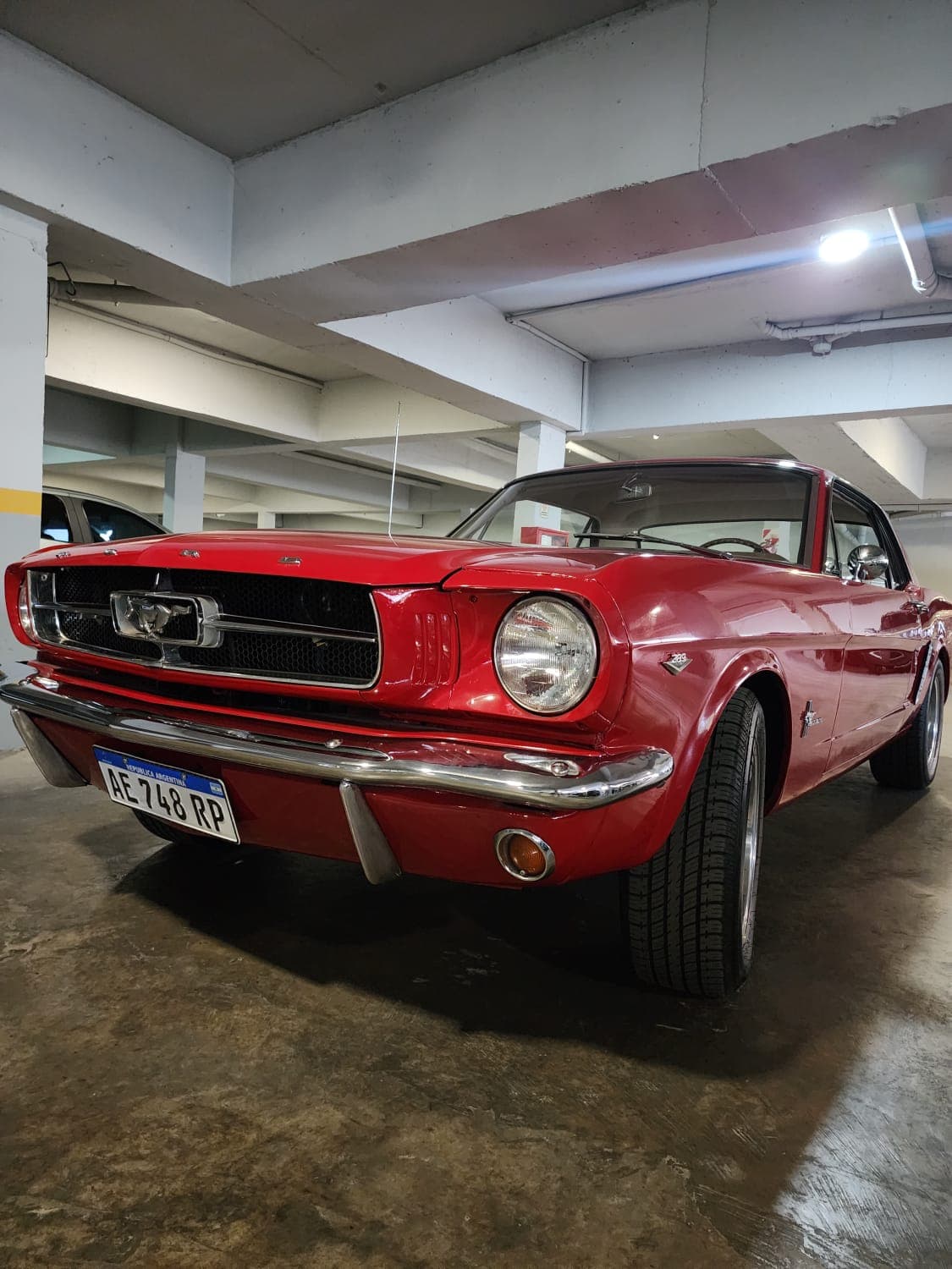 Mustang