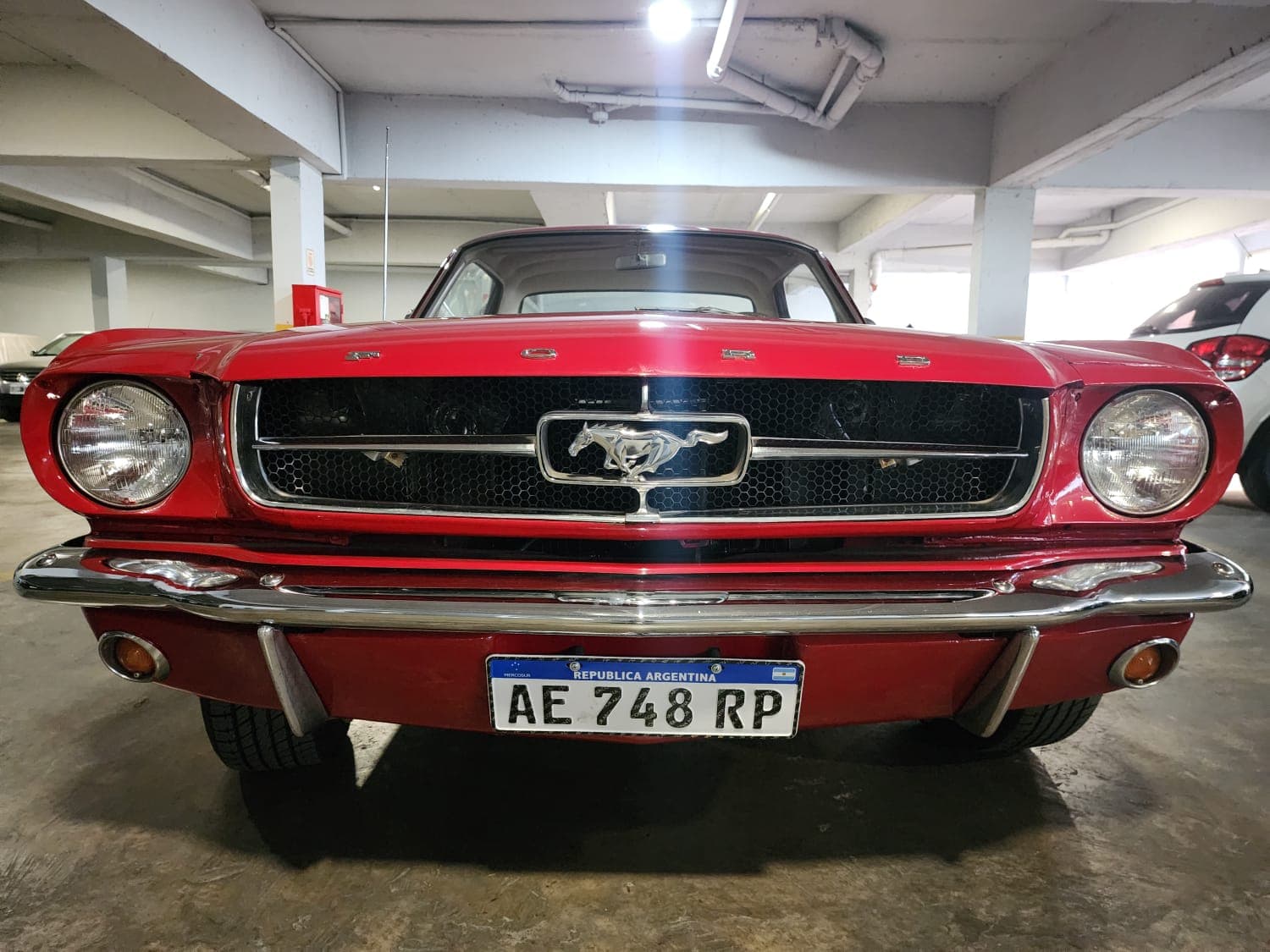 Mustang