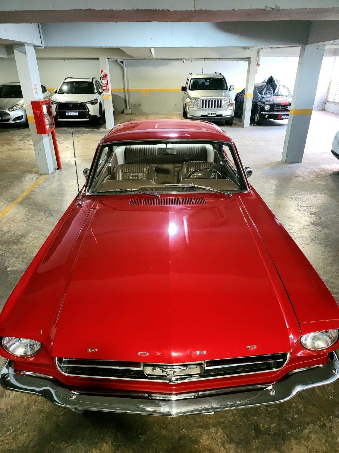Mustang