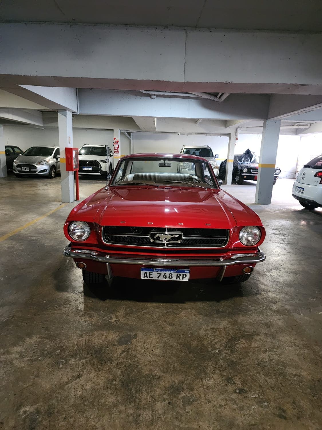 Mustang