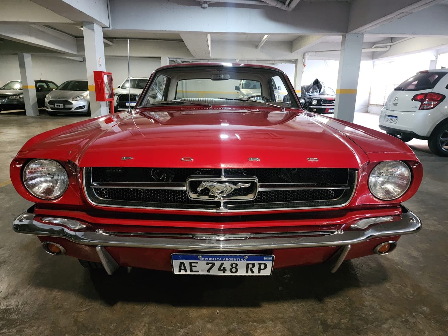 Mustang
